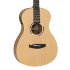 Tanglewood TDBTPEHR Discovery Exotic Parlour Acoustic Guitar in Hawaiian Rainwood Back
