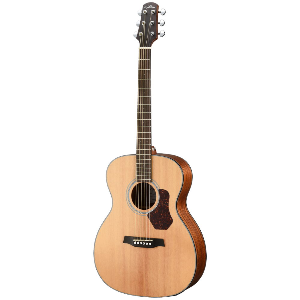 Walden O550E Solid Spruce Top Orchestra Acoustic Guitar