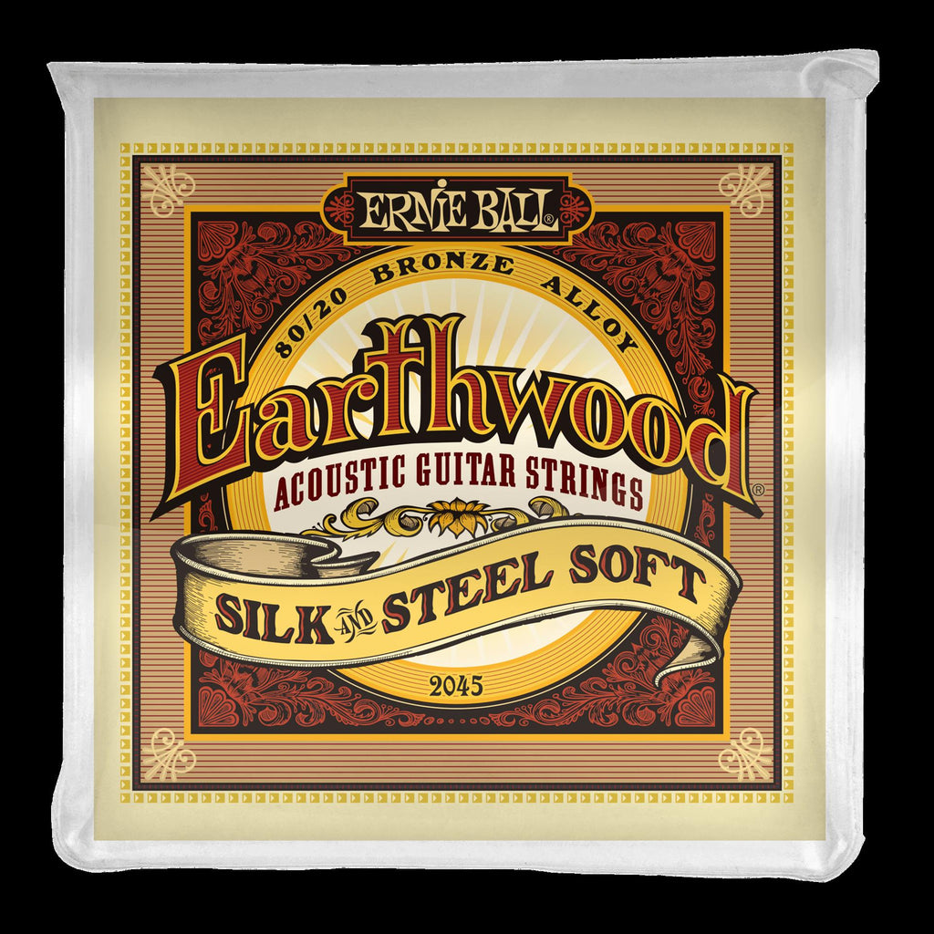 Ernie Ball Earthwood Silk & Steel acoustic guitar strings, 80/20 bronze, soft and smooth feel, designed for warm, rich sound.