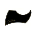Cole Clark PG-FL2-BLACK FL2 Pickguard Black