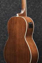 IBANEZ PNB14E OPN ACOUSTIC BASS GUITAR
