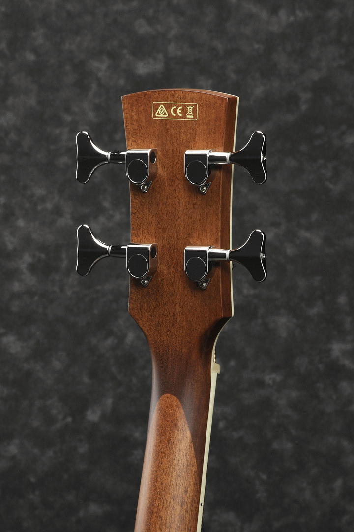 IBANEZ PNB14E OPN ACOUSTIC BASS GUITAR