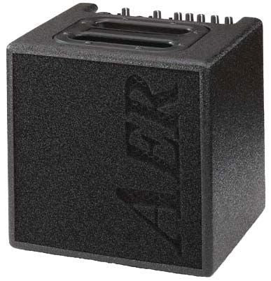 AER Alpha 40W Acoustic Guitar Amplifier