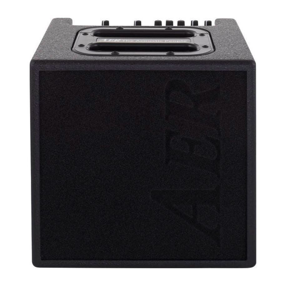 AER Alpha 40W Acoustic Guitar Amplifier
