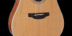Takamine G20 Series Cutaway Dreadnought Guitar with Solid Cedar Top & Pickup