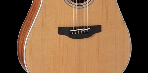 Takamine G20 Series Cutaway Dreadnought Guitar with Solid Cedar Top & Pickup