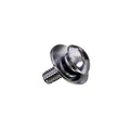 Pearl PSC-421W Screw W/Washers For P-3000D