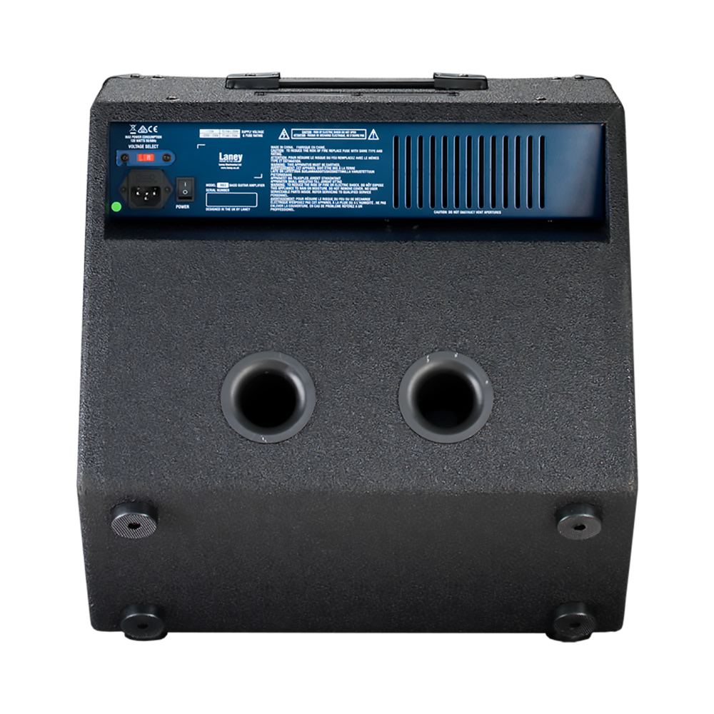 Laney Richter 65W 1x12 Bass Amp