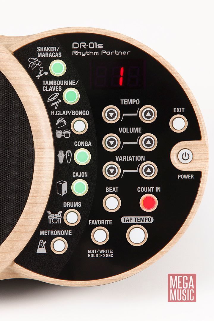 BOSS DR-01S Rhythm Partner (Acoustic Musician Percussion Module) DR01S