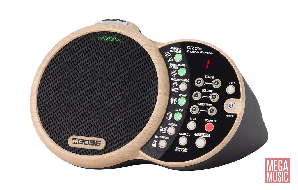 BOSS DR-01S Rhythm Partner (Acoustic Musician Percussion Module) DR01S