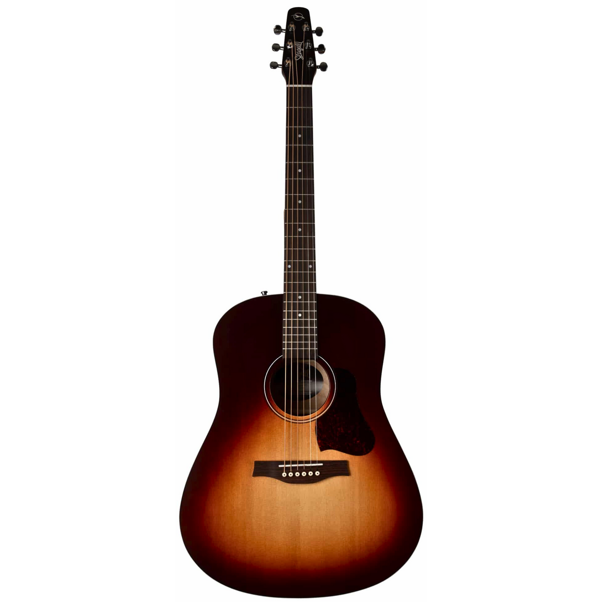 Seagull Entourage acoustic guitar in autumn burst finish, showcasing the wooden body, soundhole, and strings.