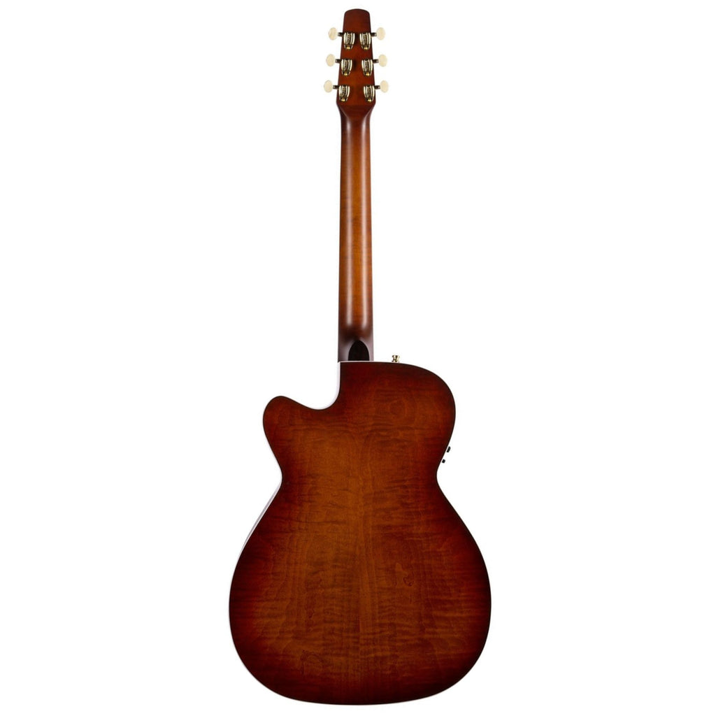 Seagull Performer CW CH Burnt Umber HG acoustic guitar with pickup and carrying bag, showcasing its body and neck design.