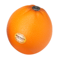 Remo Fruit Shaker - Orange