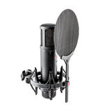 sE Electronics SE2200 Large Diaphragm Cardioid Condenser Microphone