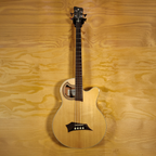 Warwick Alien Acoustic Bass Guitar - Preloved