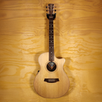 Cole Clark Angel 2 EC Acoustic Guitar Rosewood - Preloved