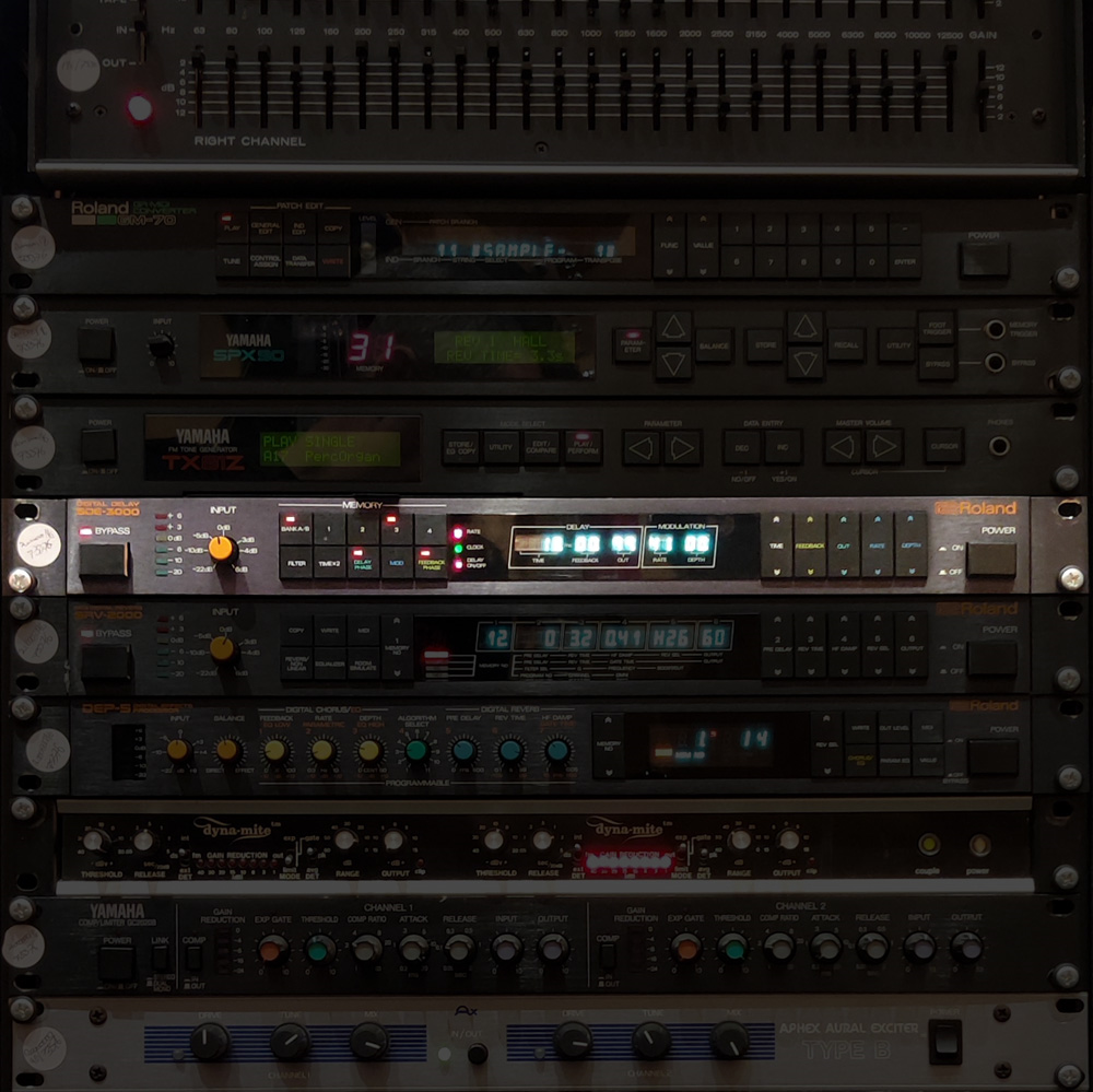 Roland SDE-3000 Digital Delay Echo Effect Processor