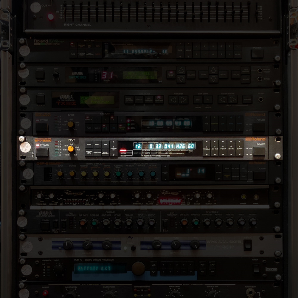 Roland SRV-2000 Digital Reverb Effects Processor - Preloved