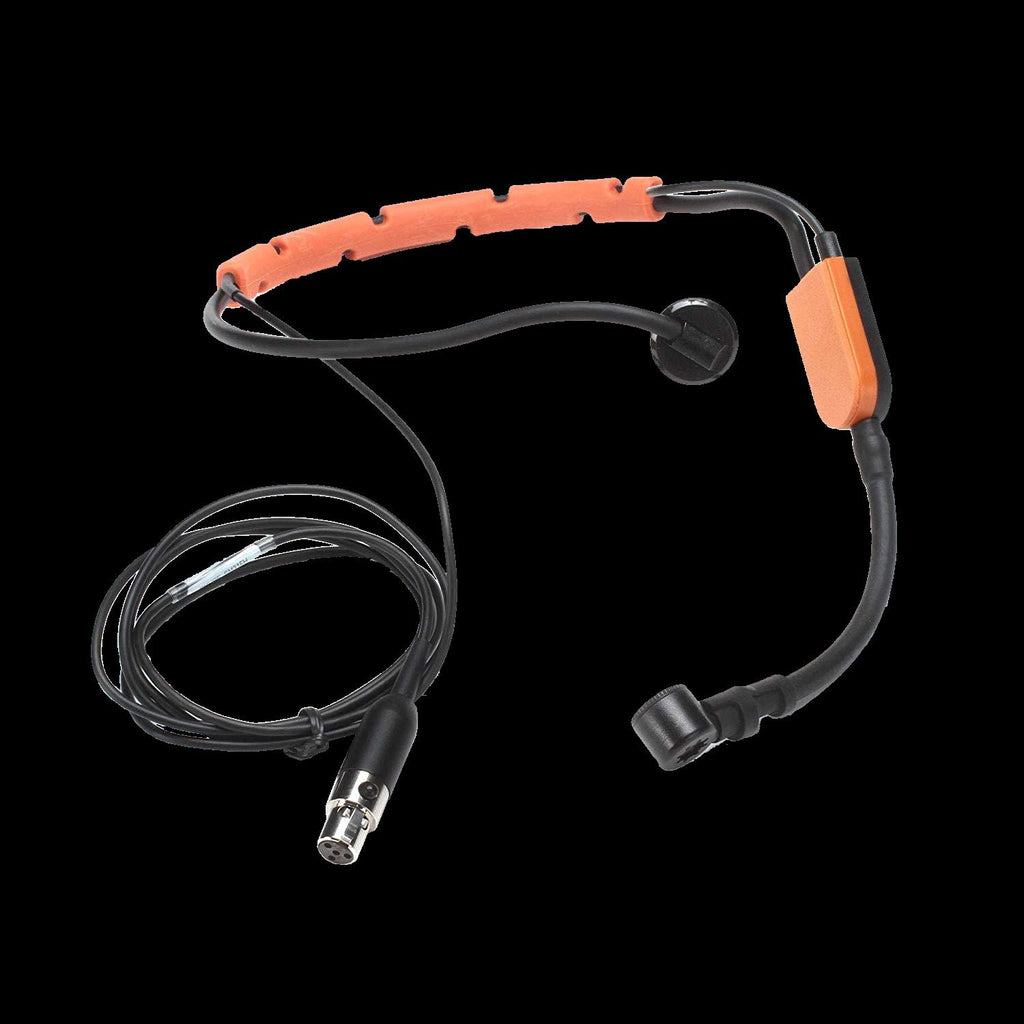 Shure SM31FH-TQG Cardioid Condenser Mic for Fitness Instructors