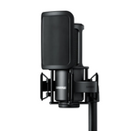 Shure SM4 Dual-Diaphragm Condenser Microphone w/Hard Mount and Case - Black