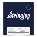 Stringjoy Super Light Gauge (45-100) 4 String Medium Scale Nickel Wound Bass Guitar Strings