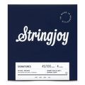Stringjoy Super Light Gauge (45-100) 4 String Short Scale Nickel Wound Bass Guitar Strings
