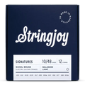 Stringjoy Signatures 12 String Balanced Light Gauge 10-48 Nickel Wound Electric Guitar Strings