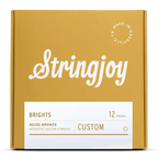 Stringjoy Brights Custom 12 String 80/20 Bronze Acoustic Guitar Strings