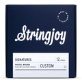 Stringjoy Signatures Custom 12 String Nickel Wound Electric Guitar Strings