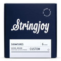 Stringjoy Signatures Custom Baritone Nickel Wound Electric Guitar Strings