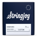 Stringjoy Signatures Custom 8 String Nickel Wound Electric Guitar Strings