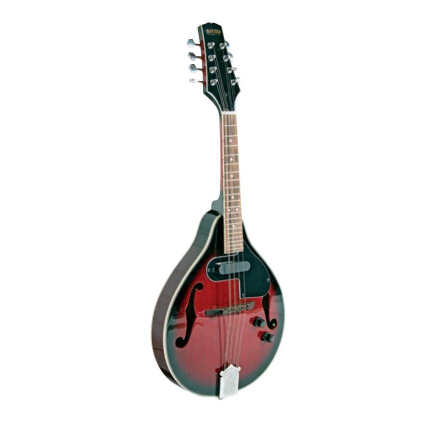 Bryden SMA50E Archtop Mandolin with Pickup in Red Sunburst