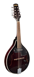 Bryden SMA50E Archtop Mandolin with Pickup in Red Sunburst