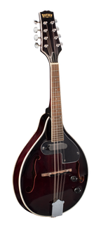 Bryden SMA50E Archtop Mandolin with Pickup in Red Sunburst
