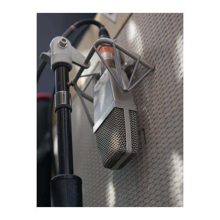 sE Electronics T2 Condenser Microphone