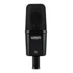 Warm Audio WA14 Condenser Microphone