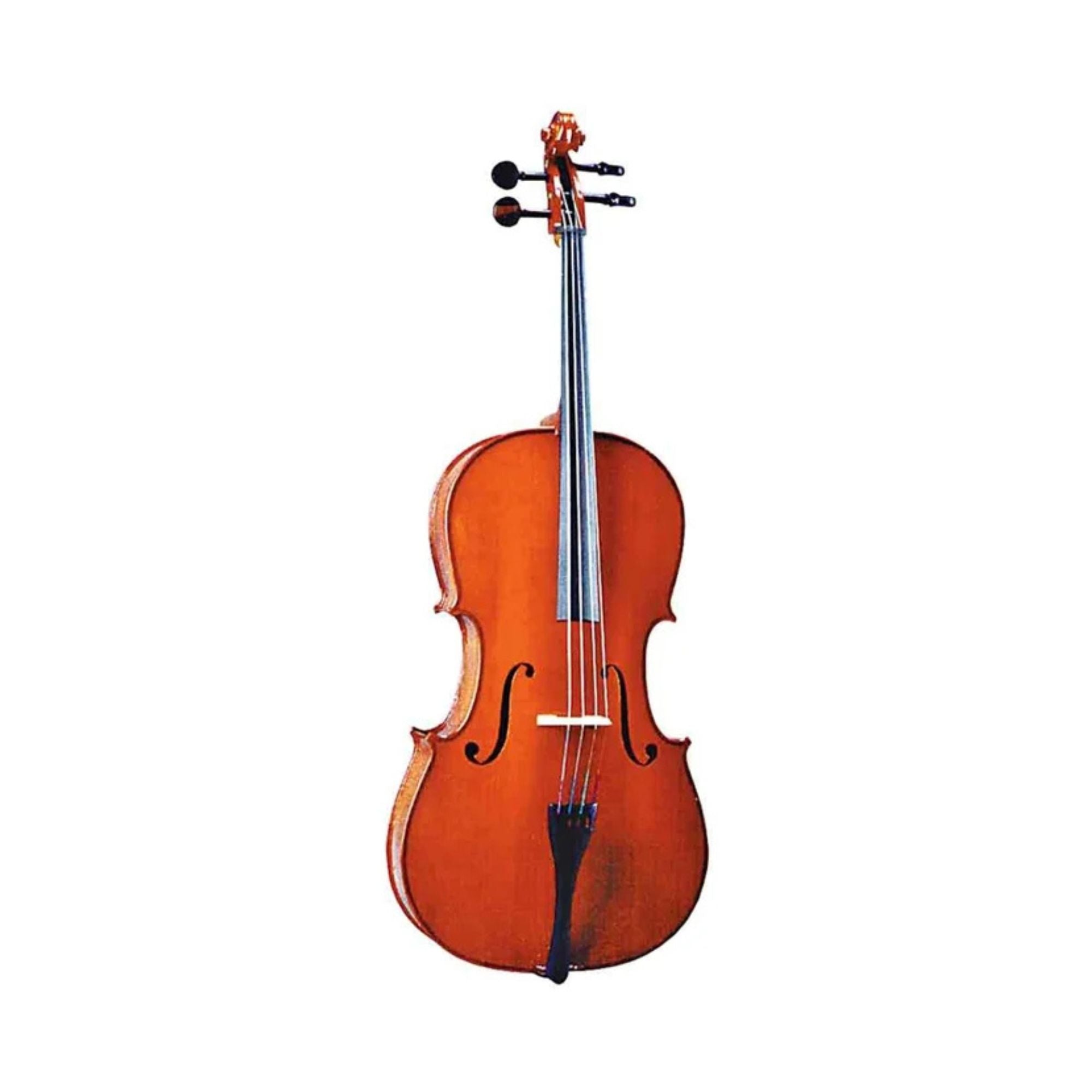 Valencia 1/2 Cello Outfit