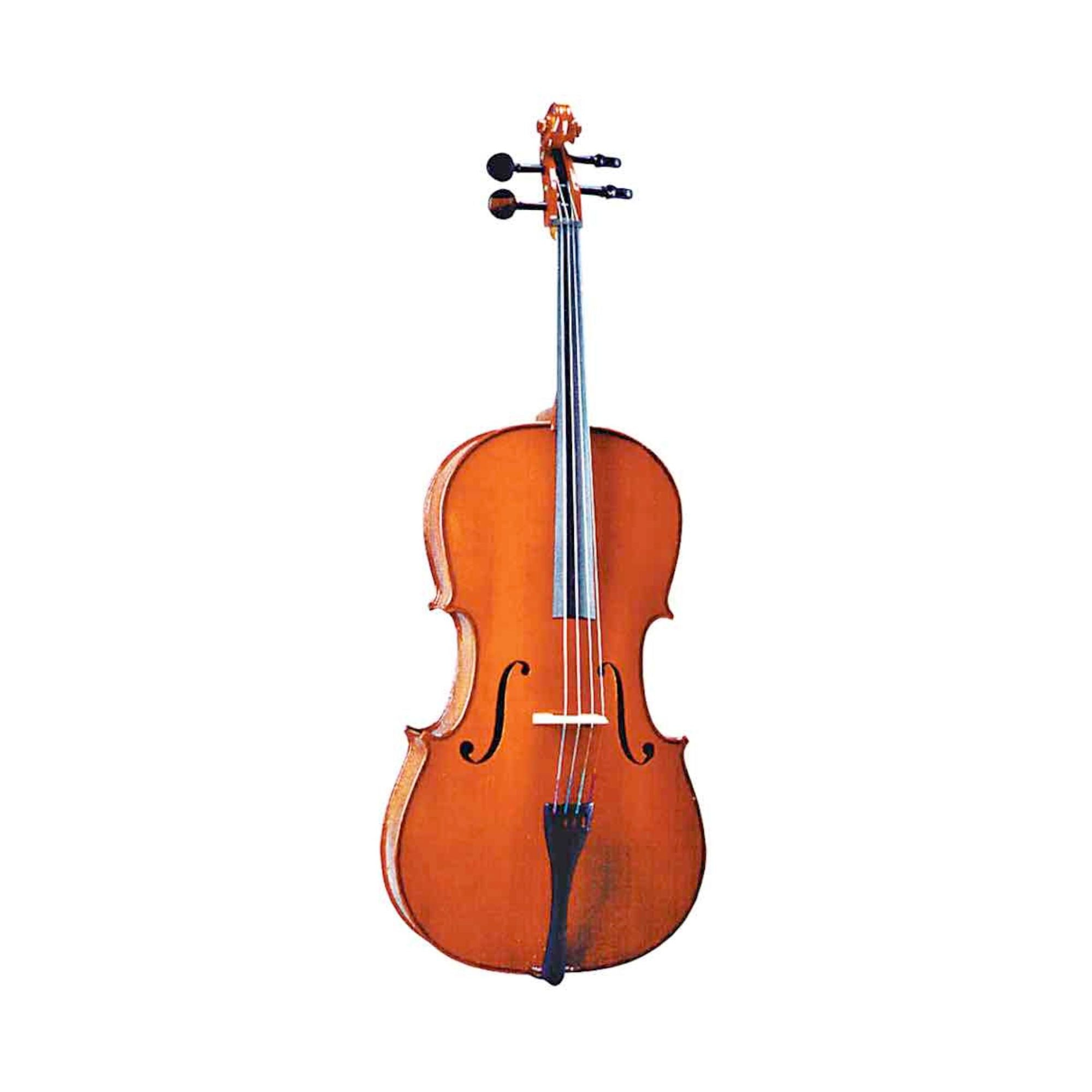 Valencia 4/4 Cello Outfit