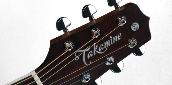 Takamine Glenn Frey Artist Series Dreadnought Acoustic Guitar with Pickup in Natural Gloss Finish