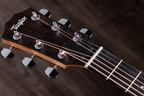 Taylor 117e Acoustic Guitar