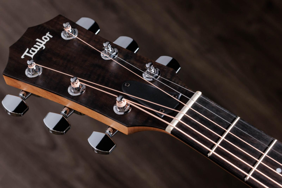 Taylor 117e Acoustic Guitar