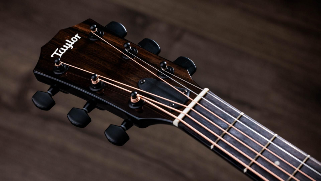 Taylor 214ce-BLK Plus Acoustic Guitar in Black