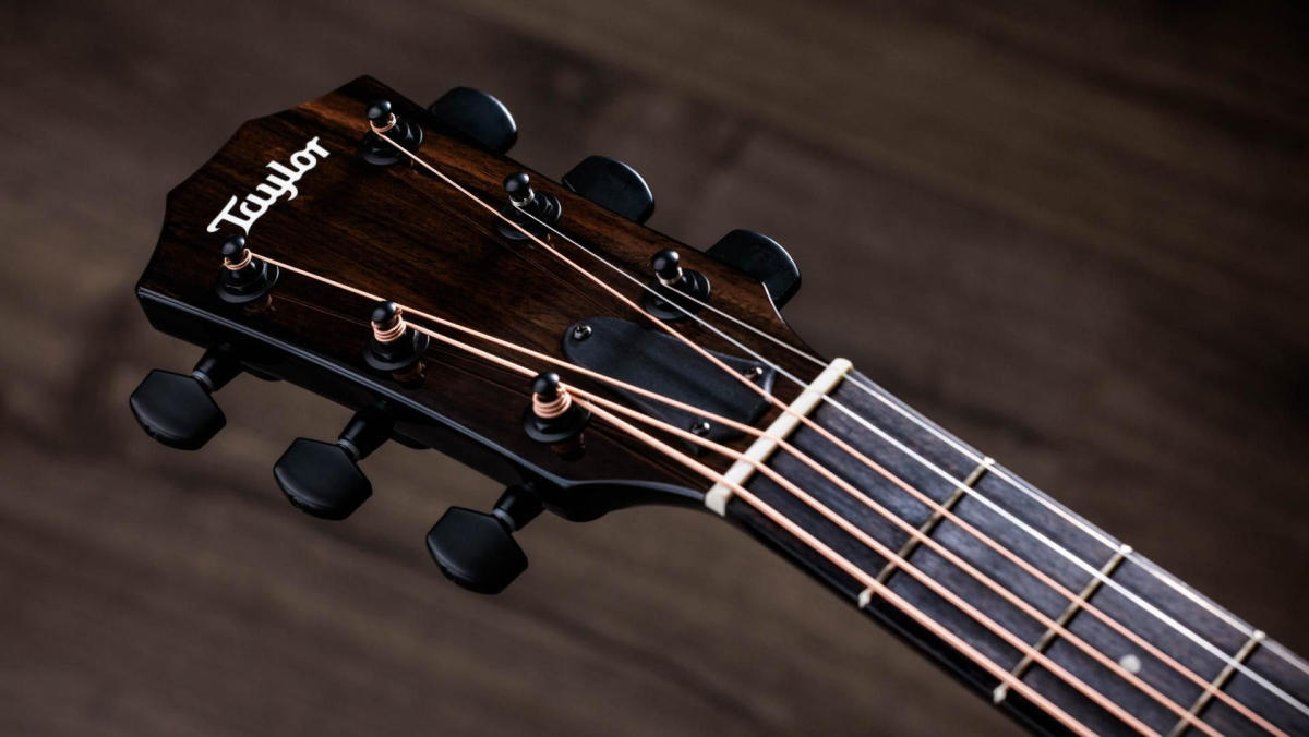 Taylor 214ce-BLK Plus Acoustic Guitar in Black