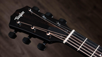 Taylor 217e-BLK Plus Acoustic Guitar