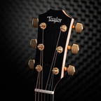 Taylor 217e-SB Plus 50th Anniversary Acoustic Guitar