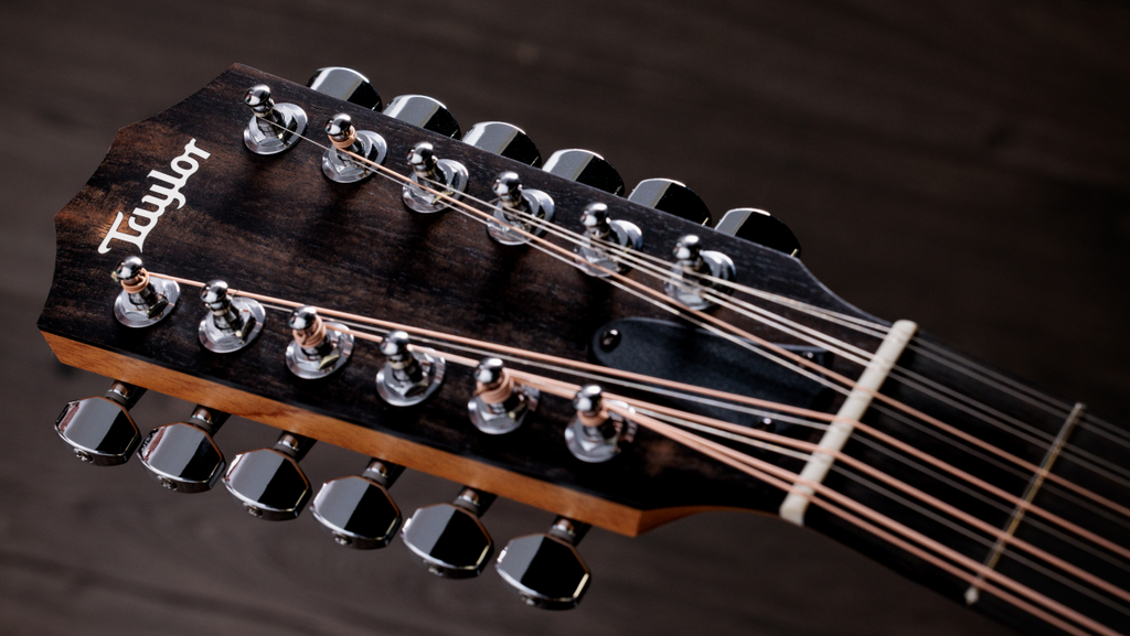 Taylor 254ce Plus Acoustic Guitar