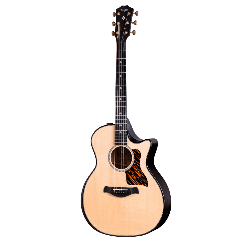 Taylor 314ce Builders Edition Cutaway Acoustic Guitar with Pickup 50th Anniversary