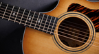 Taylor 314ce Limited Edition 50th Anniversary Acoustic Guitar