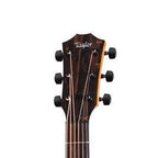 Taylor 414ce LTD Cutaway Acoustic Guitar with Pickup - Rosewood with Lutz Spruce Top