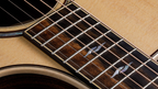 Taylor 812ce Cutaway Acoustic Guitar with Pickup in Spruce/Rosewood